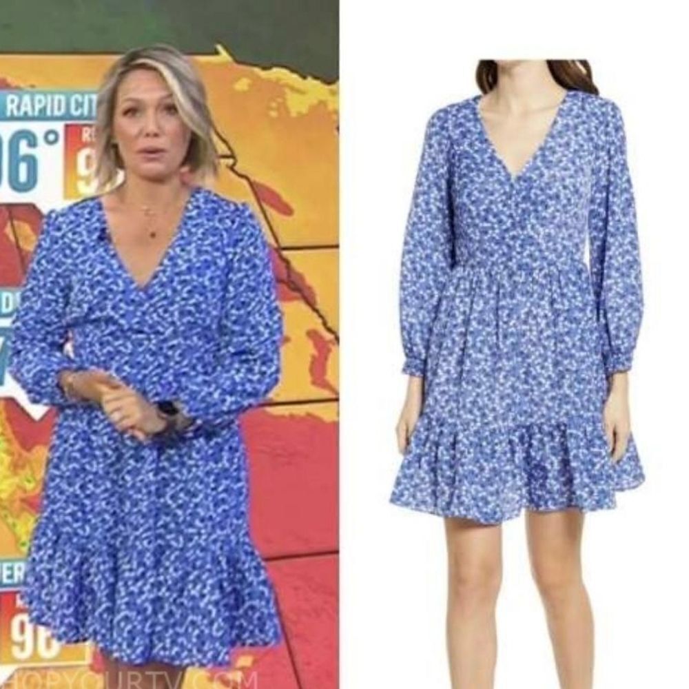 NWT Eliza J floral ruffle l/s pockets dress blue white cherry design size 4